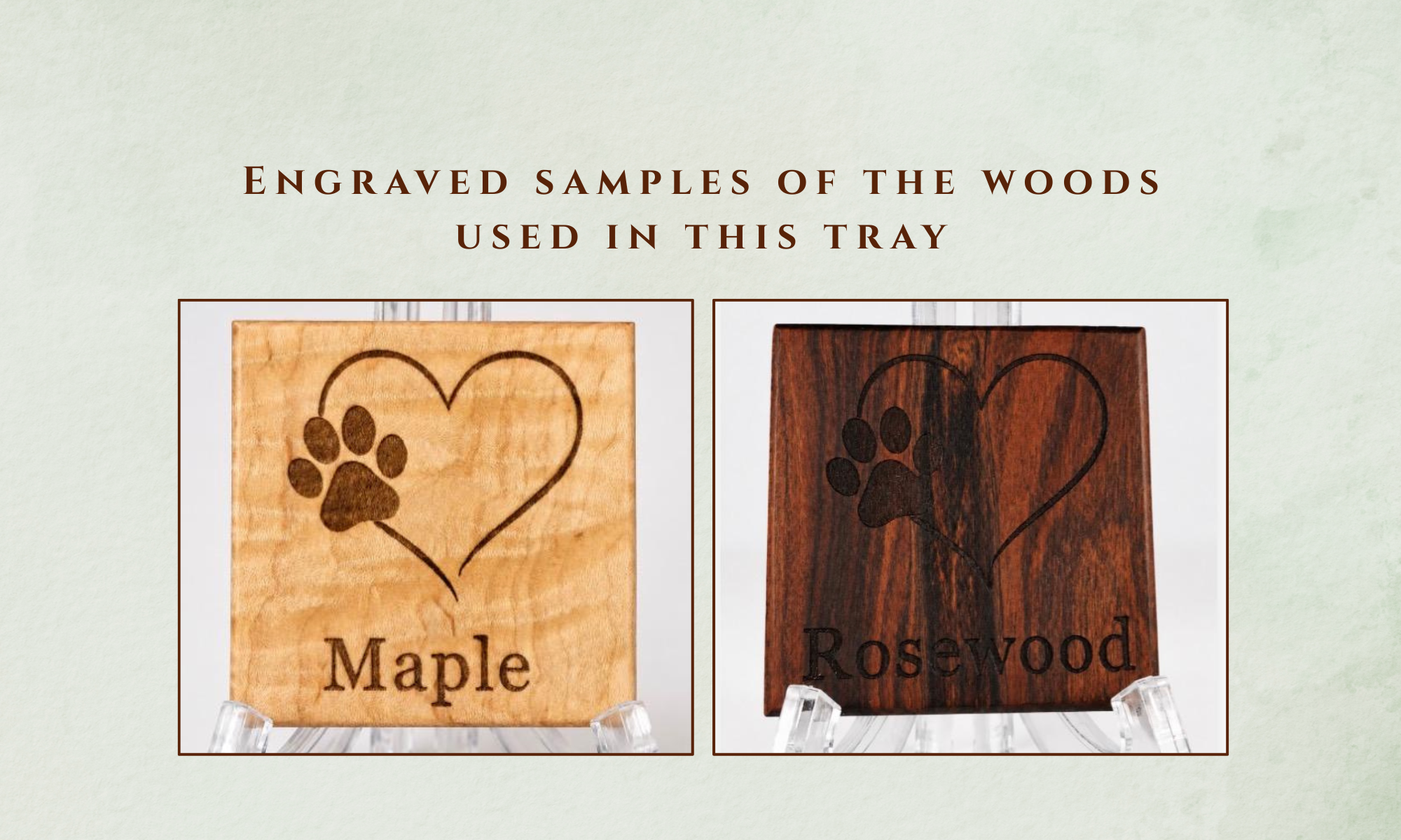 10-inch Figured Maple Memorial Valet Tray with Rosewood Medallion